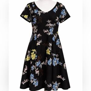 APT. 9 Women’s Floral Black Swing Dress XL Short Sleeve Stretch V-Neck
